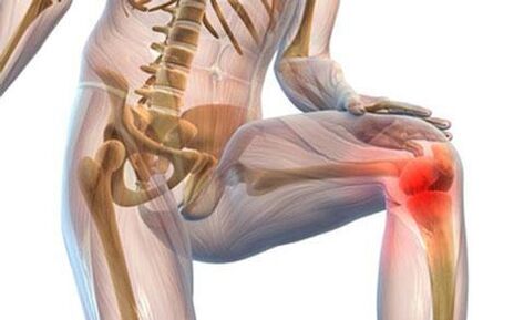 The knee joint is joint joint