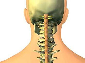 The cervical region osteochondrosis